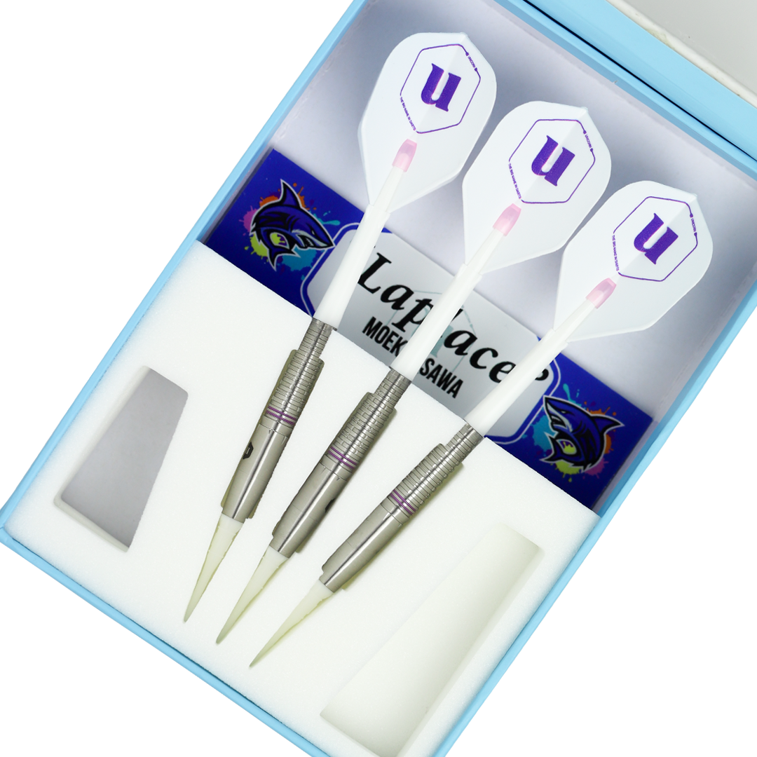 Laplace 大澤萌子モデル