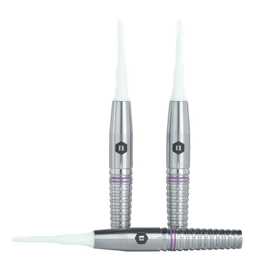 Laplace 大澤萌子モデル