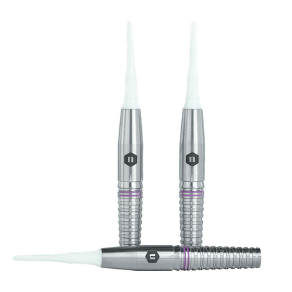 Laplace 大澤萌子モデル