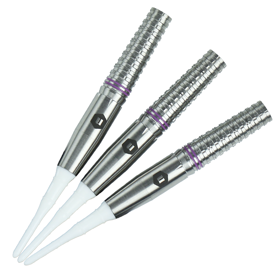 Laplace 大澤萌子モデル