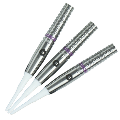 Laplace 大澤萌子モデル