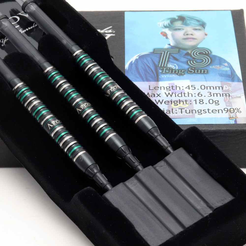 T S Ting Sunモデル