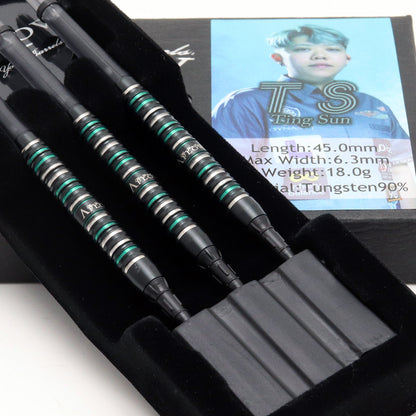 T S Ting Sunモデル