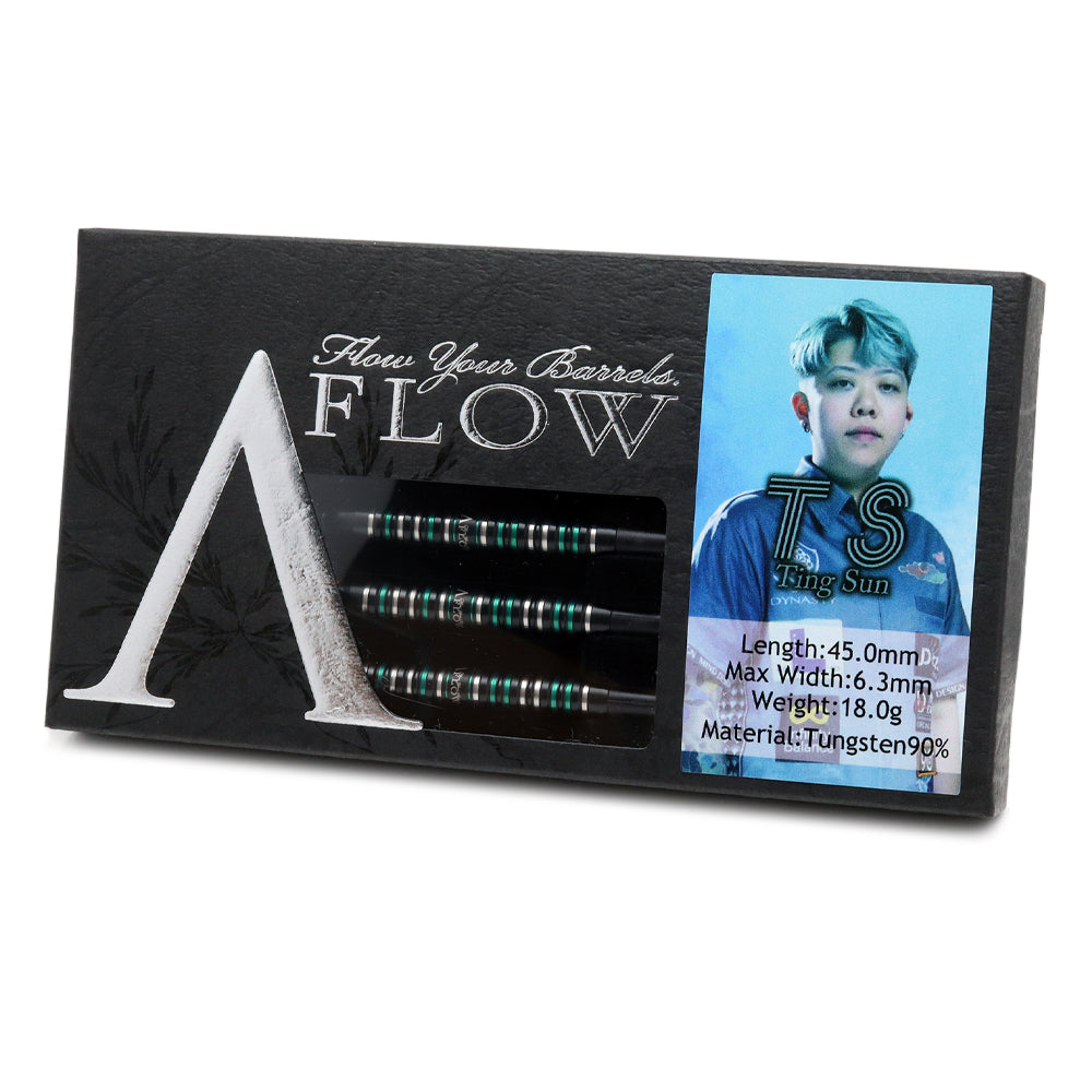 T S Ting Sunモデル